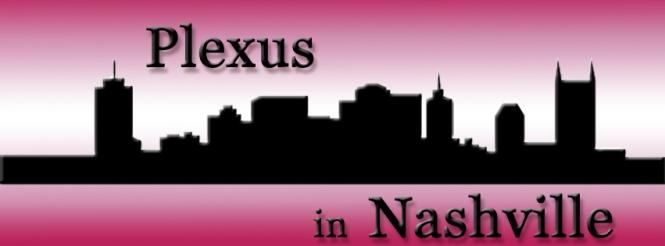 Nashville Skyline Pink copy